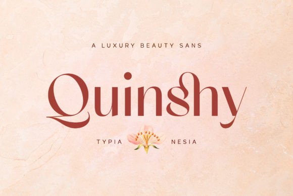 Download Quinshy - Premium Resources